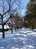 NEVE 2005