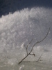 NEVE 2005
