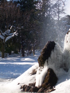 NEVE 2005
