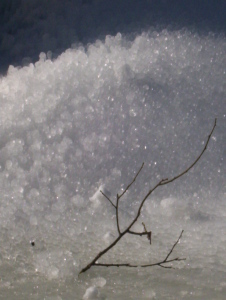 NEVE 2005