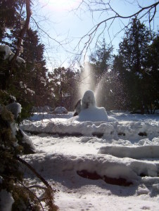 NEVE 2005